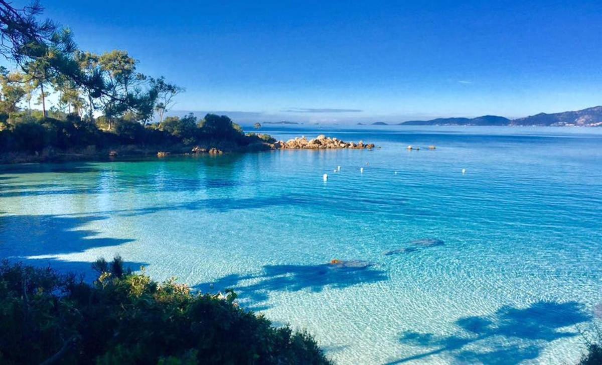 Le Pelican Magnifique F2 Ajaccio  Ngoại thất bức ảnh